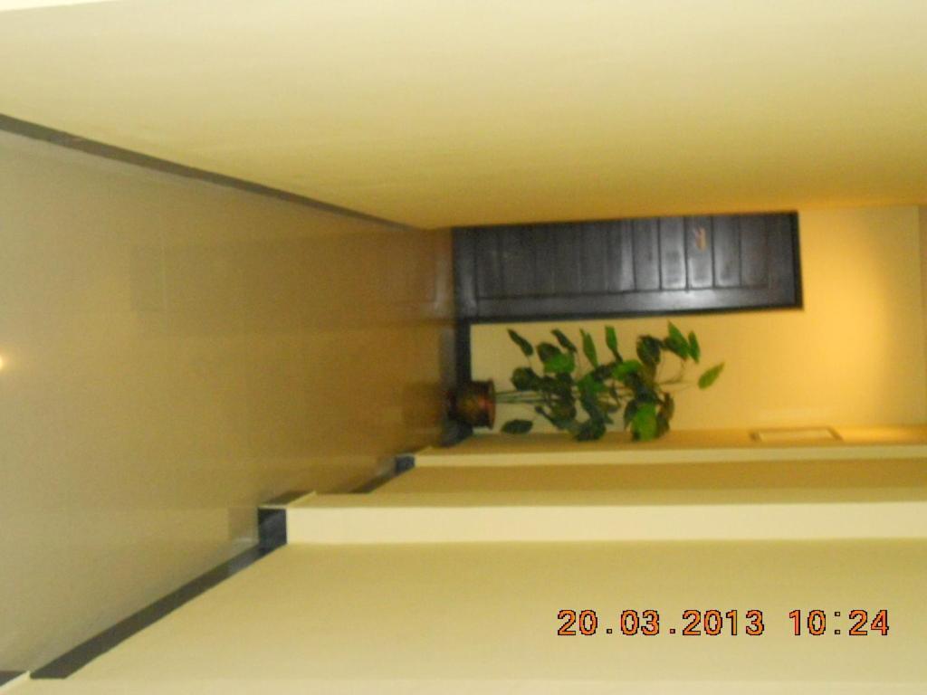 Parma Panam Hotel Pekanbaru Extérieur photo